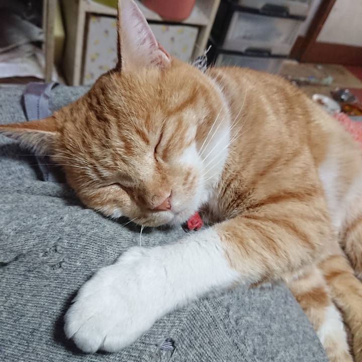 Bcd78c6c 498d 41ab 93f8 33db273d13b0 1575169933489