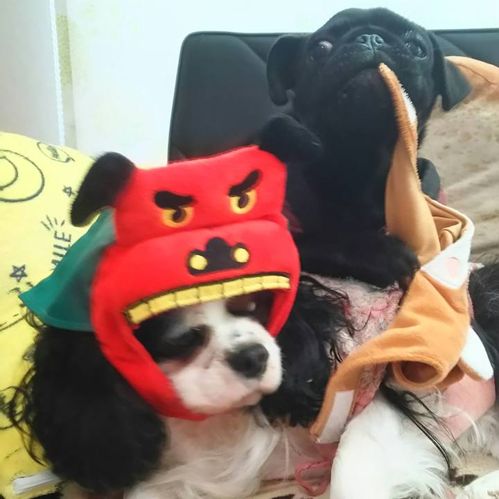 Bcd79915 c07f 4cce a97e bbd6379ff27f 1515325631721