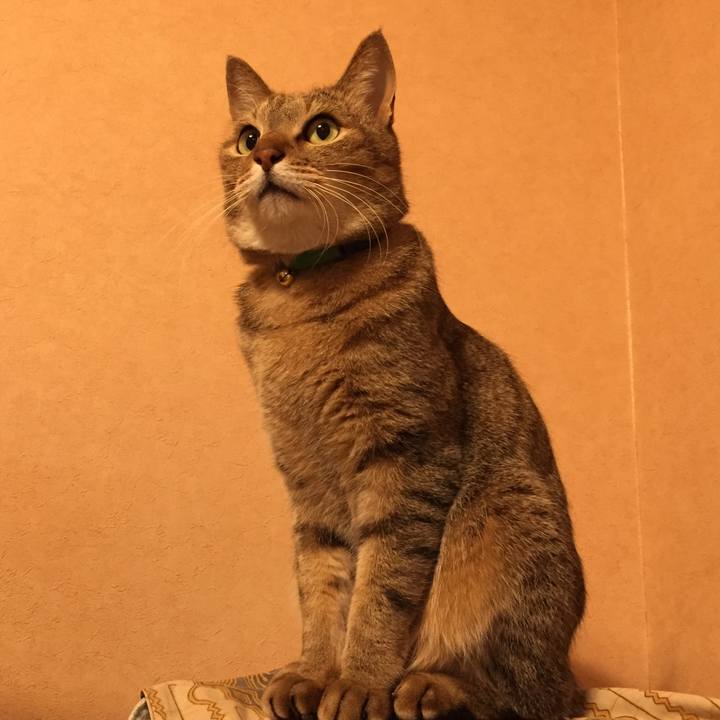 Bcd7aae3 f3bc 44cf aa8d 6b00b0ebe0df 1515163154114