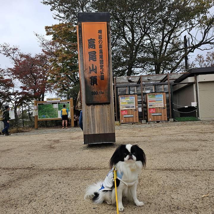 Bcd7ac92 a797 491d 8b53 bc036fcd229d 1700049549820