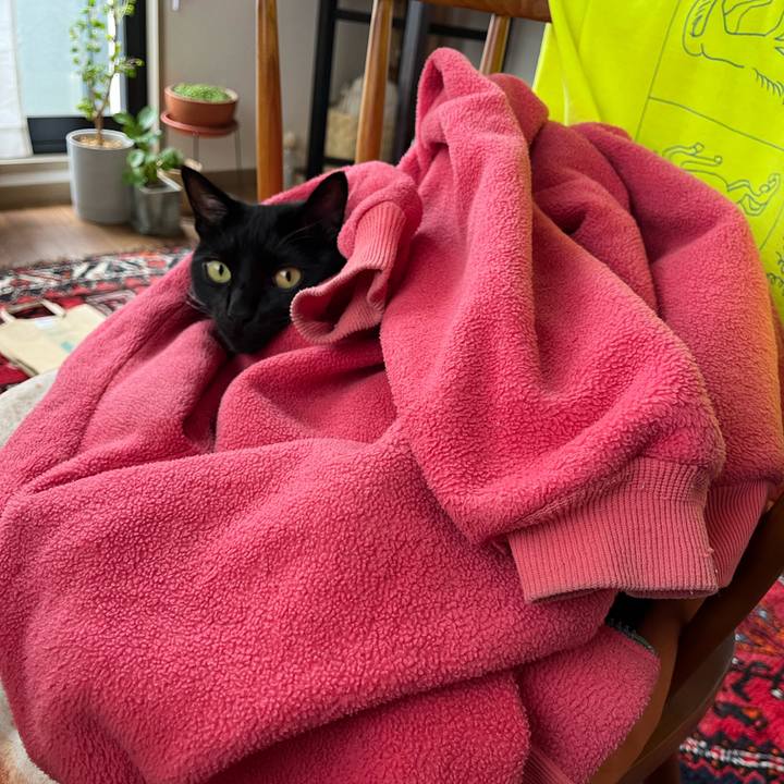 Bcd7e54e e3ad 4926 a10b 5db9c4b4bf8e 1700963609354