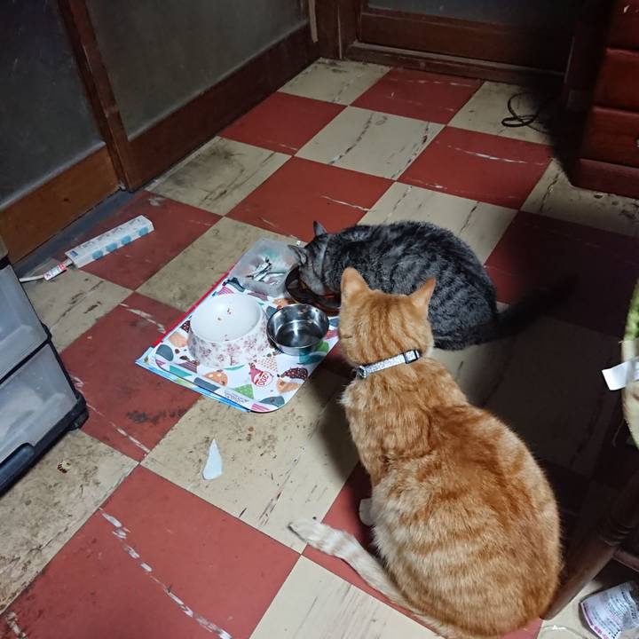 Bcd7fc0c 221f 4a27 9786 889cbf94d315 1587674915755