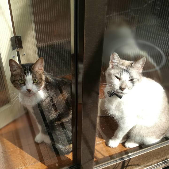 Bcd80b03 3b74 4fb3 bdb3 37ee2722c90e 1522641619015