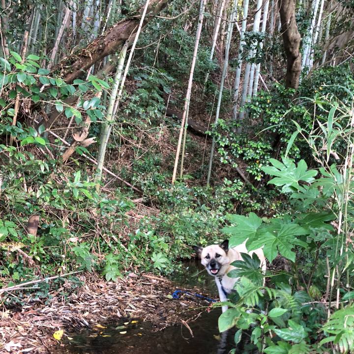 Bcd82283 28a3 40ae 849a e76b84015044 1601120209199