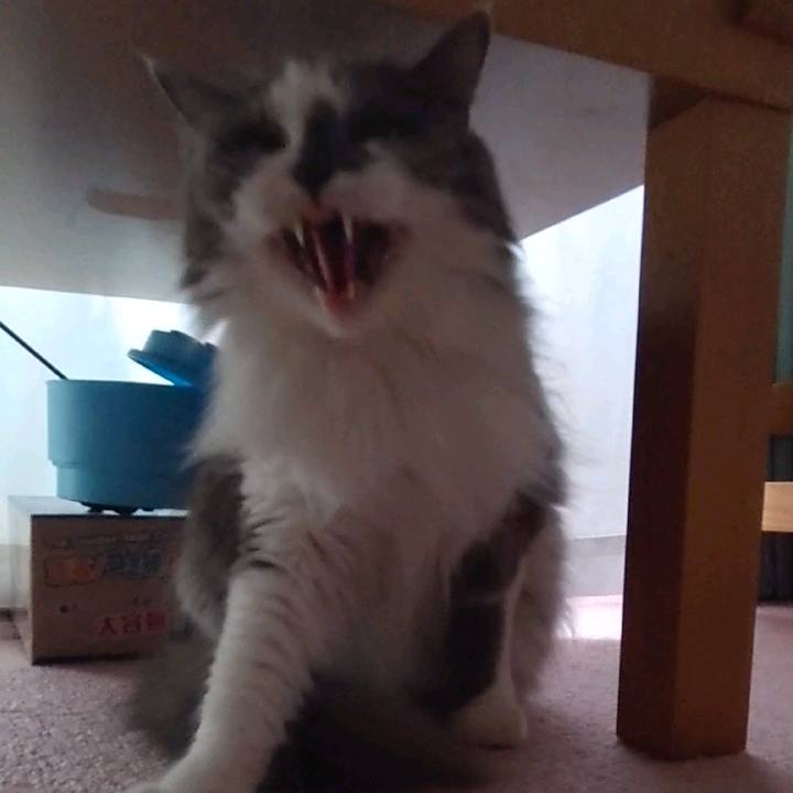 Bcd83f2d c9bf 4dce 87ff 6328357b9ef7 1752995025387