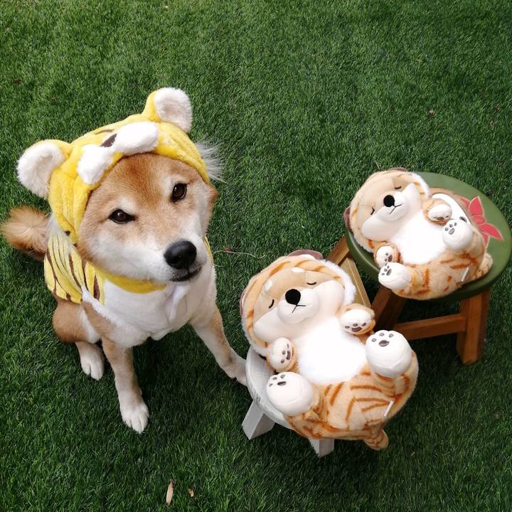 Bcd84d11 17f0 4c89 87a8 837e90122531 1640859646017