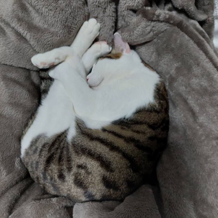 Bcd86477 acf0 4599 80cf 6de78281346e 1643804991084