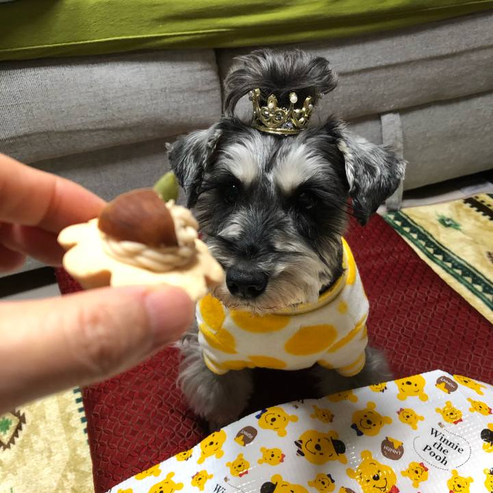 Bcd8bd91 ae4c 4174 a4d9 fa0416320b69 1641298747857