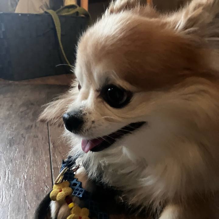 Bcd8c3fa 6d0c 456e 82a1 c82167c33c05 1759056712621