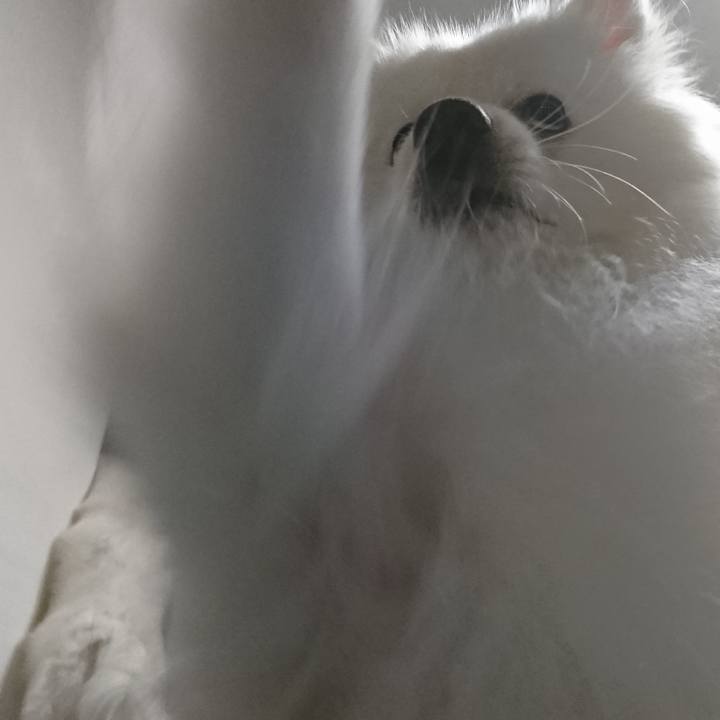 Bcd8f725 ae7f 4c09 8ce2 654ad391bf14 1579264030675