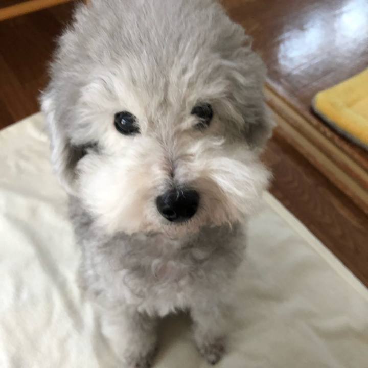 Bcd912b6 f03e 4e27 b62e 2f75e96dfb49 1540525088187