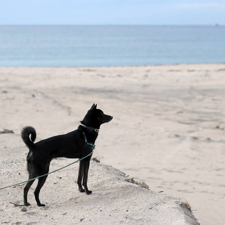 Bcd91a9d e444 4568 819f 82abaac6c571 1541374698938