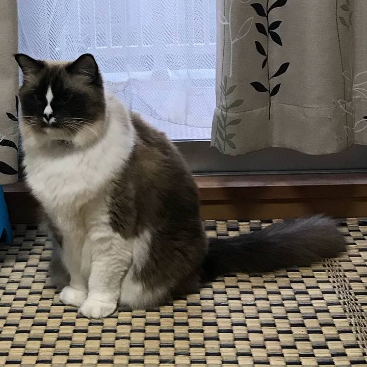 Bcd926b9 0795 435d a87f 8d75325e6d72 1514092046696