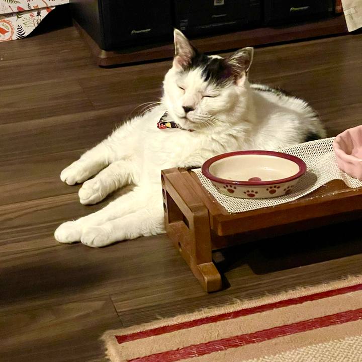 Bcd92f5d 8651 4969 b98e 3a0199370136 1715606898768