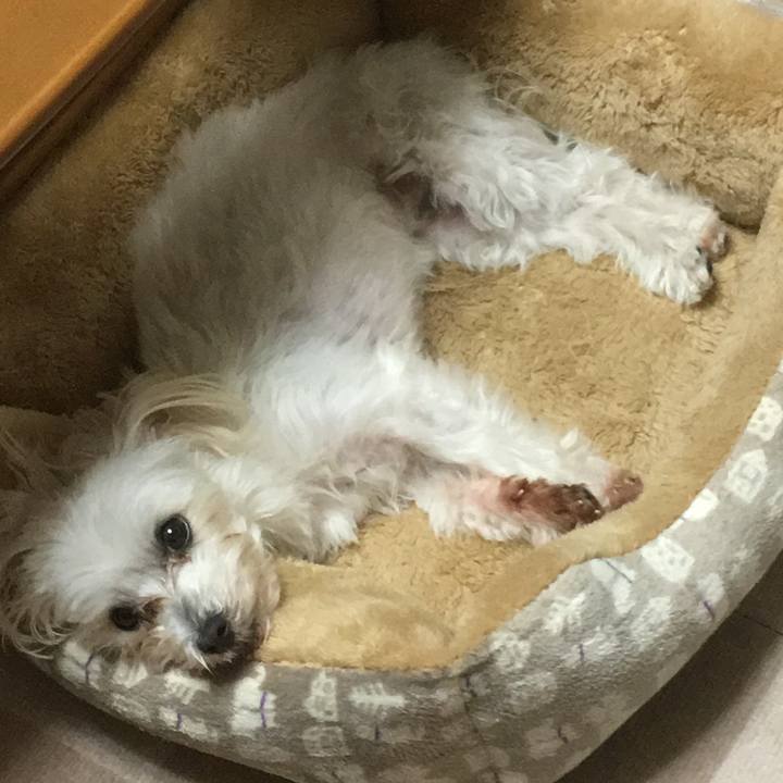 Bcd93817 3294 4ab6 a074 0ff167460add 1512475980115