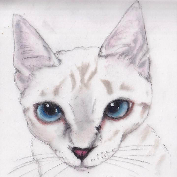 Bcd96abd db36 4c23 a3f3 2ab00da5fac9 1673619702447