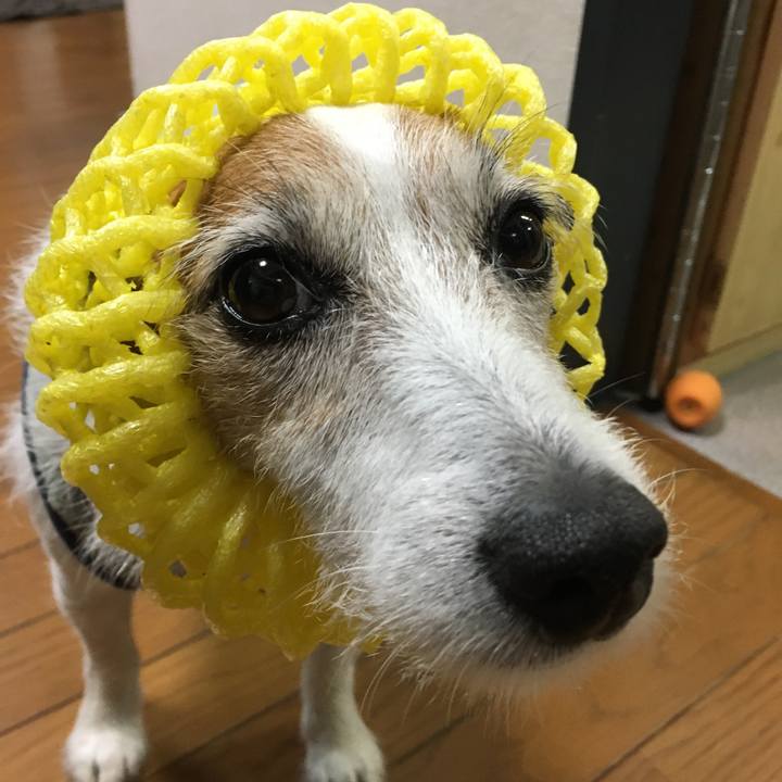 Bcd989e6 b37f 4e3d 9e0a 2f702abf7495 1653700517879