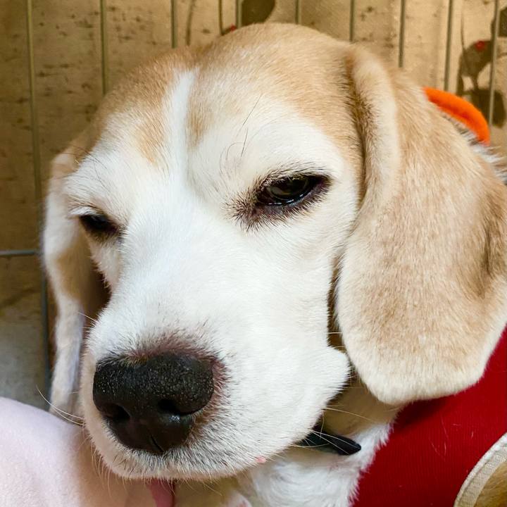 Bcd99146 61fb 43d4 85aa df505e3fd131 1745905074900