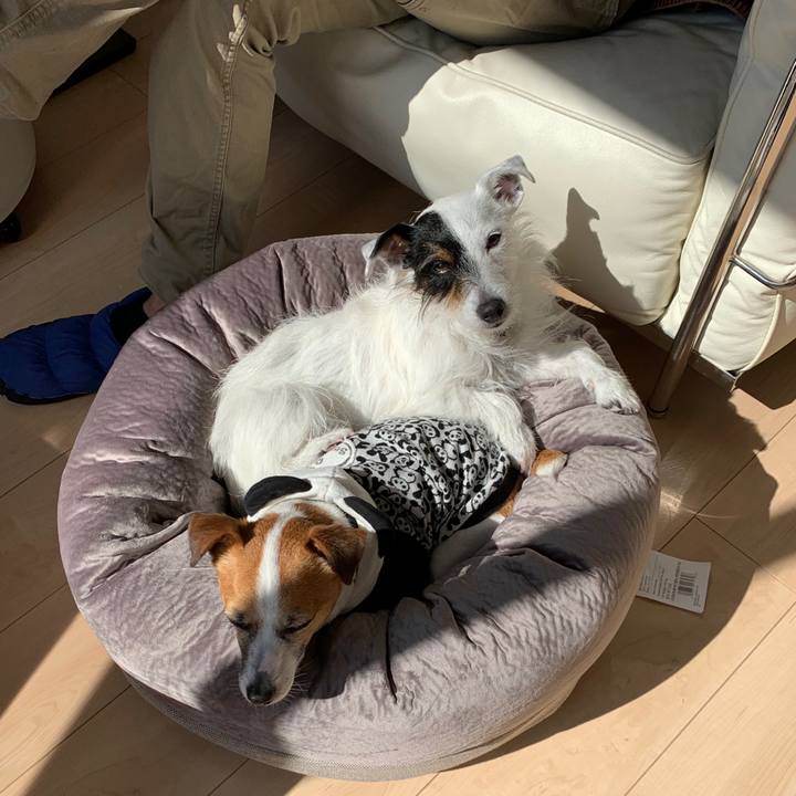 Bcd9a601 ec0c 4eea b9b0 879b7ae81a2f 1583210829615