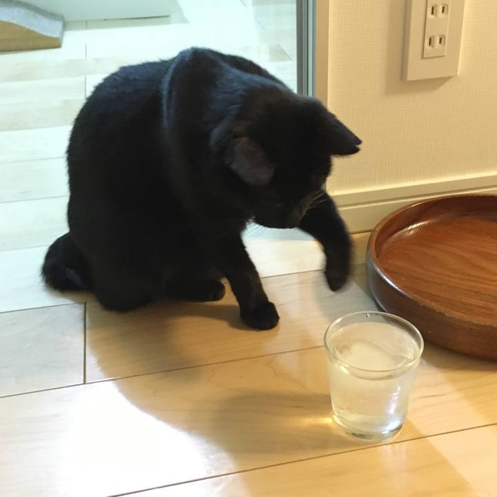 Bcd9b278 293c 451c 9959 13b63508fe1e 1531147949650