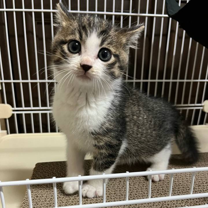 Bcd9b69e b3d6 442f 9e2f b9ba20bab26e 1764628774643