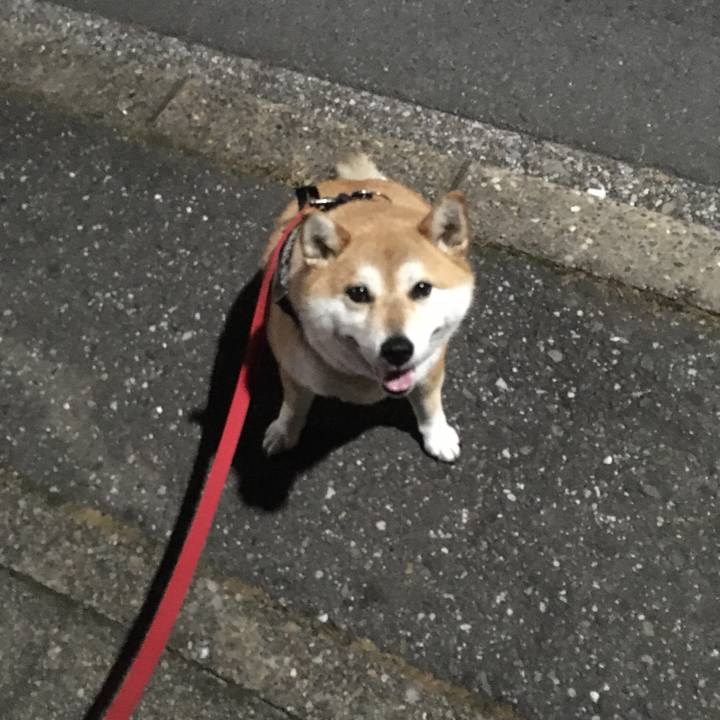 Bcd9b81c 510b 4e6d 9358 a1171bfe39de 1592306648239