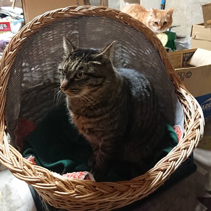 Bcd9c629 6950 4f1c af13 c8db06118dfb 1640255874091