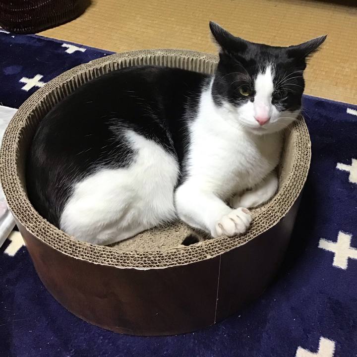 Bcd9d27d ad25 4d89 bb4b c46ce79b6029 1710586208620