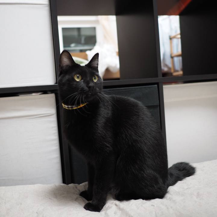 Bcda11df 4148 4e0e 8839 eb09ff3910bd 1543878729419