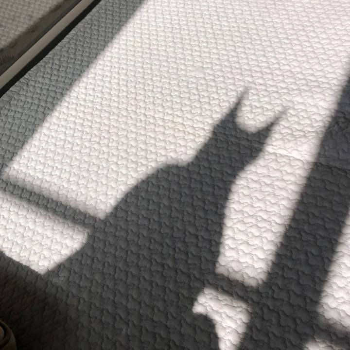 Bcda2a8f 3e4c 48ae 85b1 4787e80a515b 1558738681597