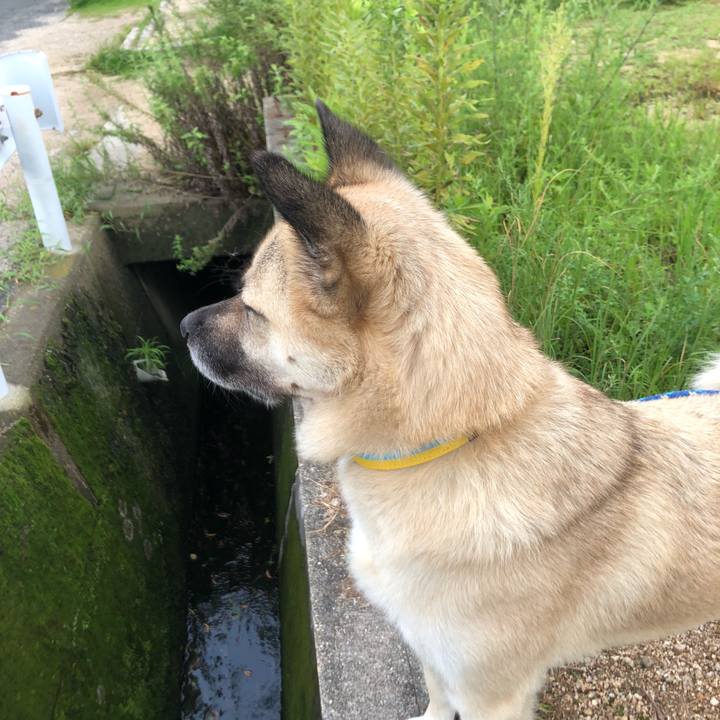 Bcda2add e61a 4658 b55a bccb14943d6b 1567509537370