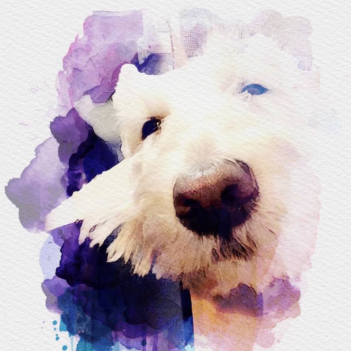 Bcda3481 793f 45c1 87ac f89e4b8d5f87 1534950501027