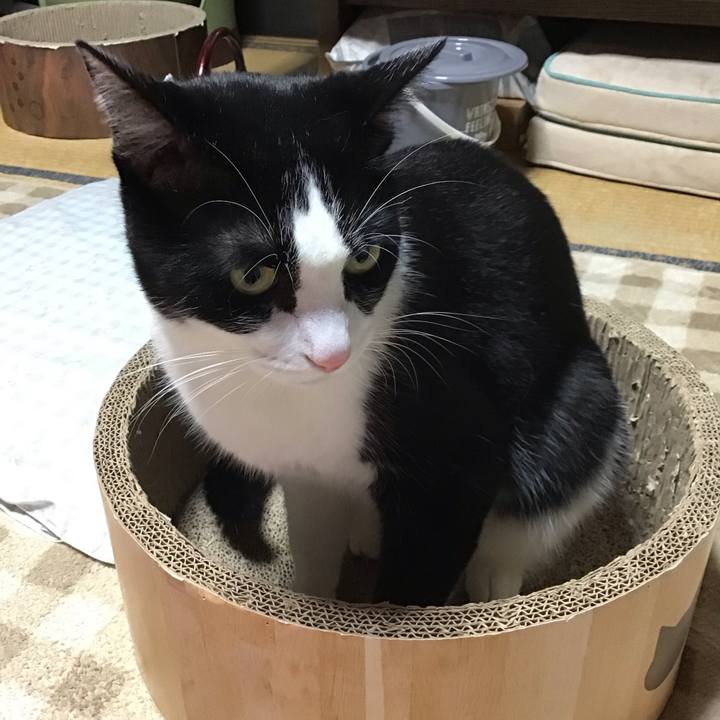 Bcda5f1e 6d90 4662 af61 4f300a63ab37 1729588309856