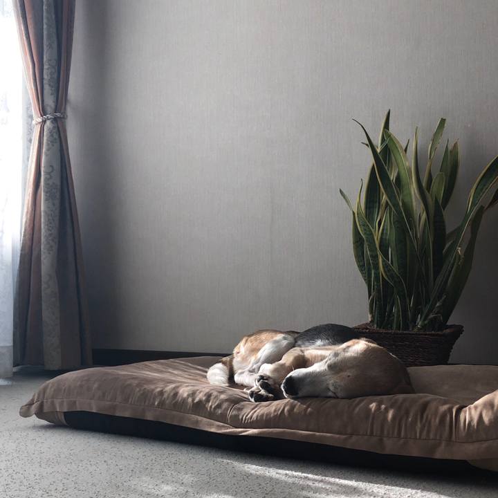 Bcdaba92 2337 4c16 96ac cc8a6c611f02 1572958757169