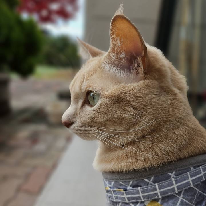 Bcdafc55 7963 44fa b4f3 eb37b5a34bda 1699072146941