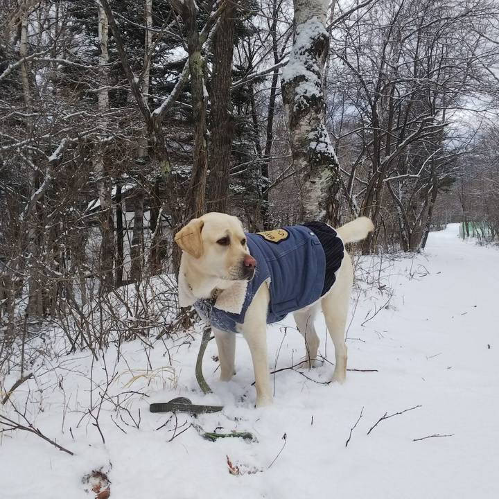 Bcdb2d14 15ff 46fb 80aa 1d35a7ce22b5 1546392988827