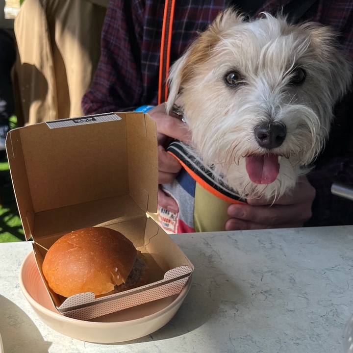 Bcdb8152 4e10 44f4 8668 3de03ddedae5 1771839130990