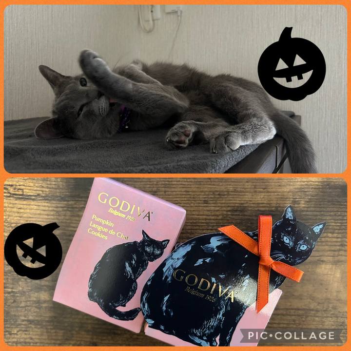 Bcdb87ad fff5 4280 8384 4be1ef916df8 1761880359568