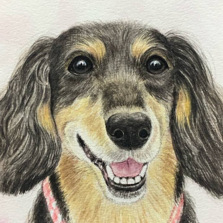 Bcdba146 12c8 4365 a57c 60bebe04a672 1693301106692