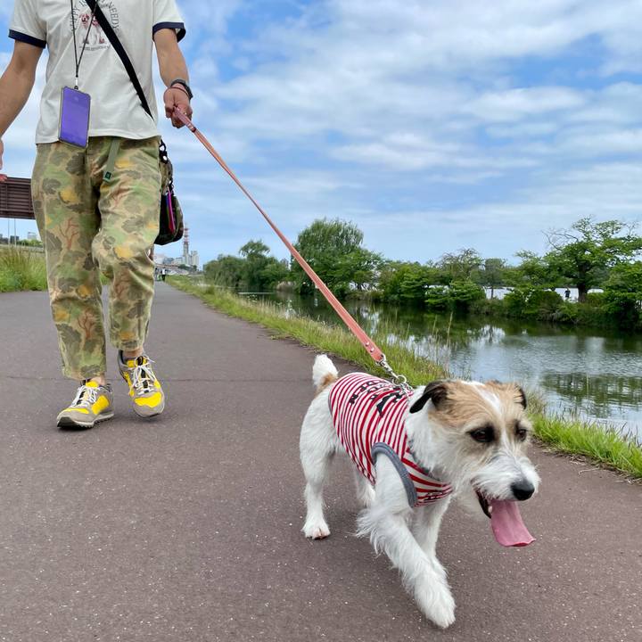 Bcdbac55 1280 4a83 b011 1bfd91bea498 1684677891941