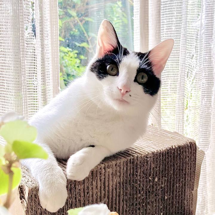 Bcdbd308 9ec1 4816 9c6b 16c18ca2c633 1662368799095