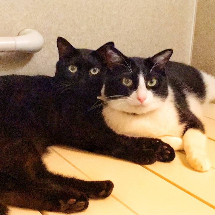 Bcdbe7a6 a8a9 4ce1 acc3 40c0a82ece5a 1530525417836