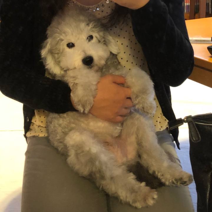 Bcdc04bb b83b 4336 a935 cd848925f1c6 1539213463051