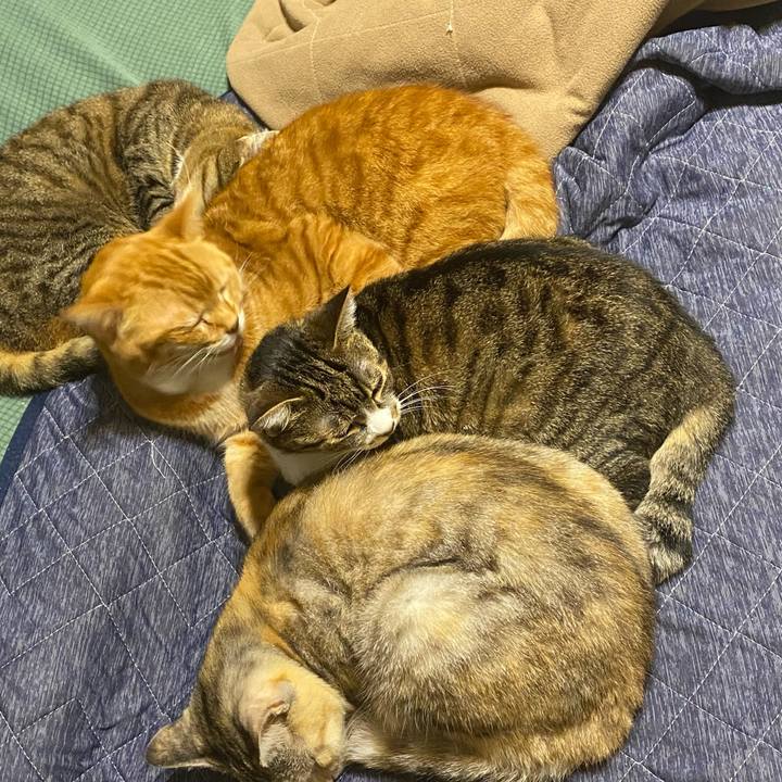 Bcdc114a 2f67 4a0e baa5 574e4b3e51f2 1615322673927