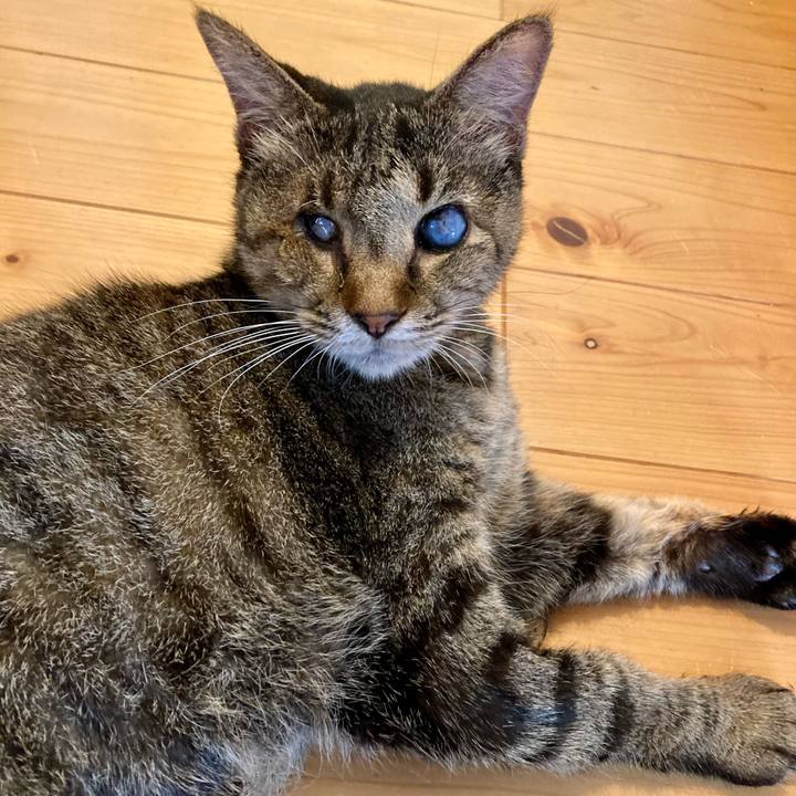 Bcdc1e1f 1f6b 43f9 b102 9594c05de121 1663149075269