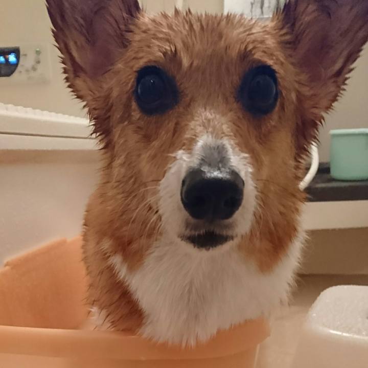 Bcdc5c89 7089 4bbf b037 52b9c3e58902 1548331270962