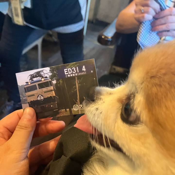 Bcdc6fb4 66a6 464a ab37 585bf738bc9d 1756681711654