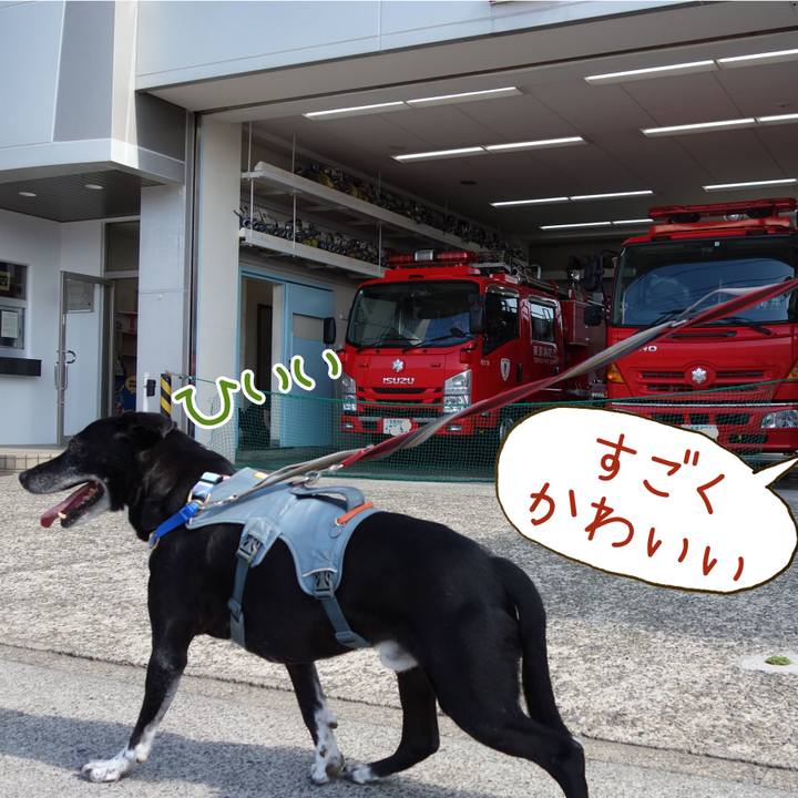 Bcdc70b9 35e5 4f29 99e7 4fc51b1c167d 1746321099892