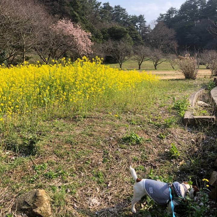 Bcdc8278 c240 4ad1 9a94 d9fa2e34888b 1584516780635