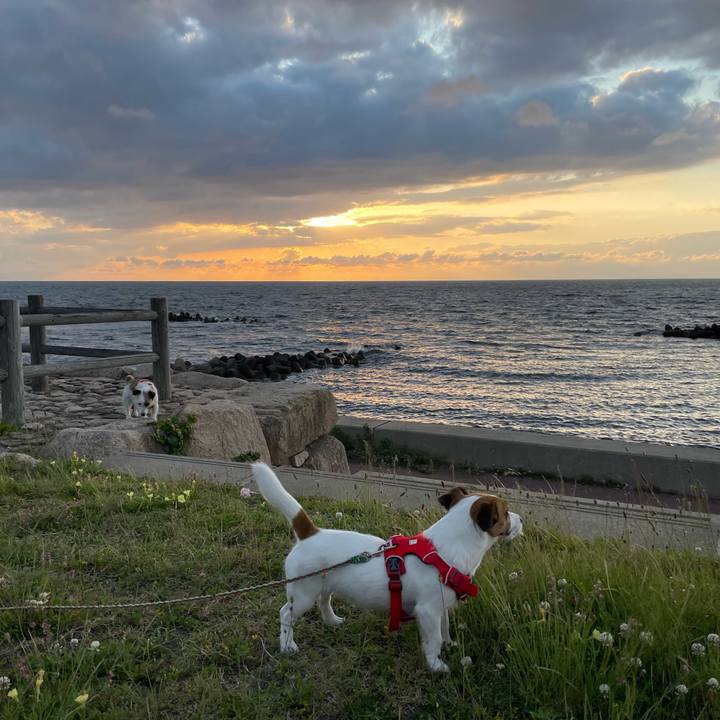 Bcdcb079 5e91 48f7 a31a 843b42acf9df 1654251590515